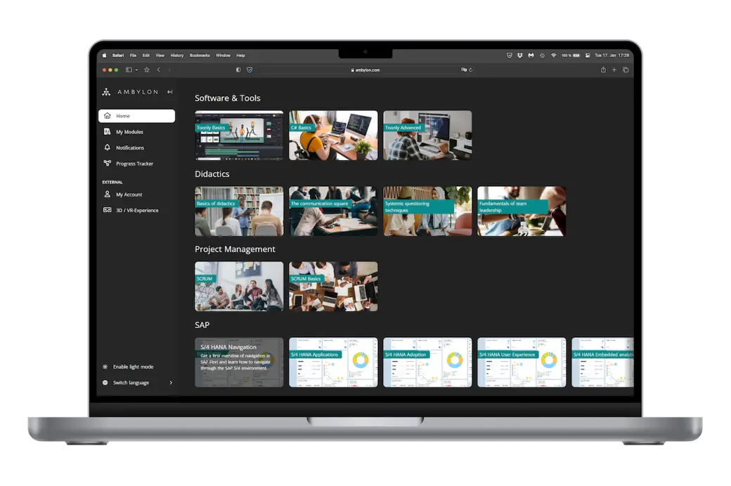 Presentational image - Image of the Ambylon 2D platform